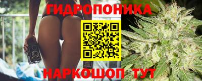 мдпв Краснознаменск