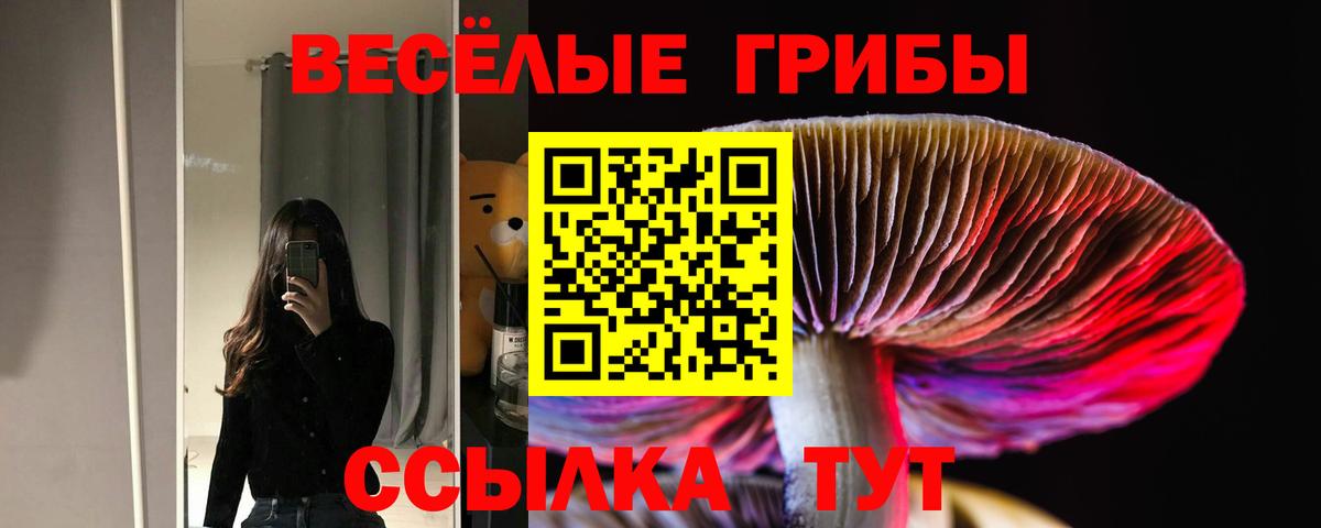 Псилоцибиновые грибы GOLDEN TEACHER Ирбит